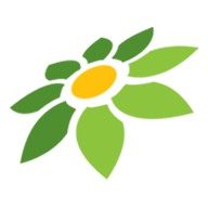 XXI